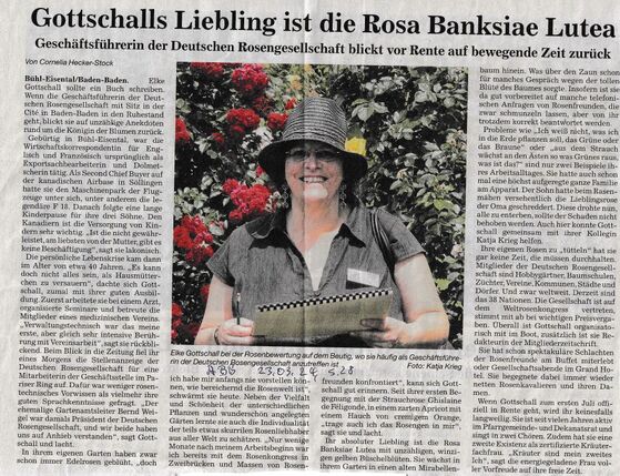 Artikel vom ABB, 23.03.2024